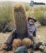 kaktus, chlap, púšť, dobrodruh.jpg